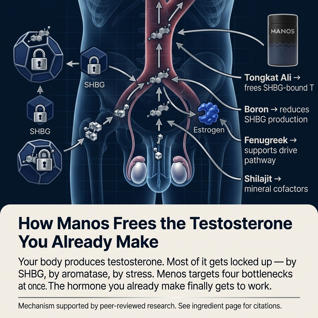 Manos Natural Testosterone Support